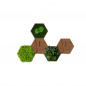 Mobile Preview: 5er Moos-, Kork- & Pflanzen-Hexagon Set