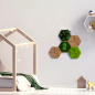 Preview: 5er Moos-, Kork- & Pflanzen-Hexagon Set Preview: 5er Moos-, Kork- & Pflanzen-Hexagon Set