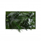 Preview: Stylegreen Pflanzenbild