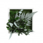 Preview: Stylegreen Pflanzenbild 22x22 cm