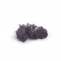 Preview: Islandmoos Aubergine