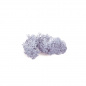 Preview: Rentierflechte Lavendel