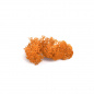 Preview: Islandmoos Orange