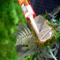 Preview: flexGreen Pflanzen-Element Preview: flexGreen Pflanzen-Element