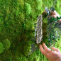 Preview: flexGreen Pflanzen-Element Preview: flexGreen Pflanzen-Element