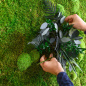 Preview: flexGreen Pflanzen-Element Preview: flexGreen Pflanzen-Element