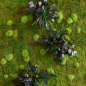 Preview: flexGreen Pflanzen-Element Preview: flexGreen Pflanzen-Element
