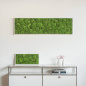 Preview: Moosbild 140x40cm Preview: Moosbild 140x40cm