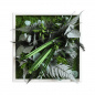 Preview: Pflanzenbild Stylegreen