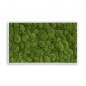 Preview: Stylegreen Kugelmoosbild 100x60vm