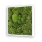 Preview: Moosbild 35x35cm Preview: Moosbild 35x35cm