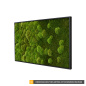 Preview: Stylegreen Moosbild mit Verlauf Preview: Stylegreen Moosbild mit Verlauf