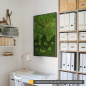 Preview: Moosbild Verlauf Wald- und Kugelmoos 100x60cm Preview: Moosbild Verlauf Wald- und Kugelmoos 100x60cm