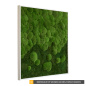 Preview: Moosbild Verlauf Wald- und Kugelmoos 100x60cm Preview: Moosbild Verlauf Wald- und Kugelmoos 100x60cm