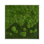 Preview: Moosbild mit Verlauf 140x40cm