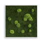 Preview: Stylegreen Moosbild 80x80cm Preview: Stylegreen Moosbild 80x80cm