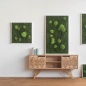 Preview: Waldmoosbild Preview: Waldmoosbild