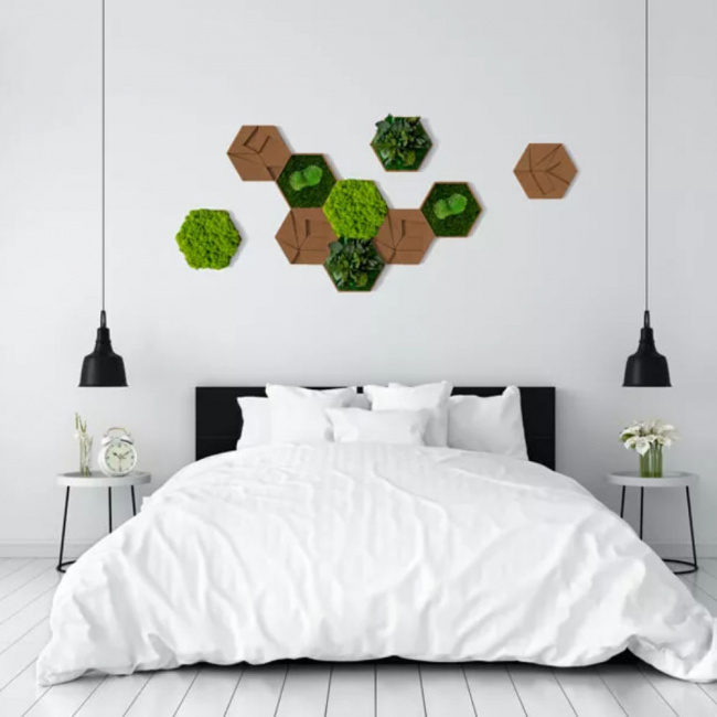 10er Moos-, Kork- & Pflanzen-Hexagon Set