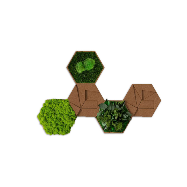 5er Moos-, Kork- & Pflanzen-Hexagon Set