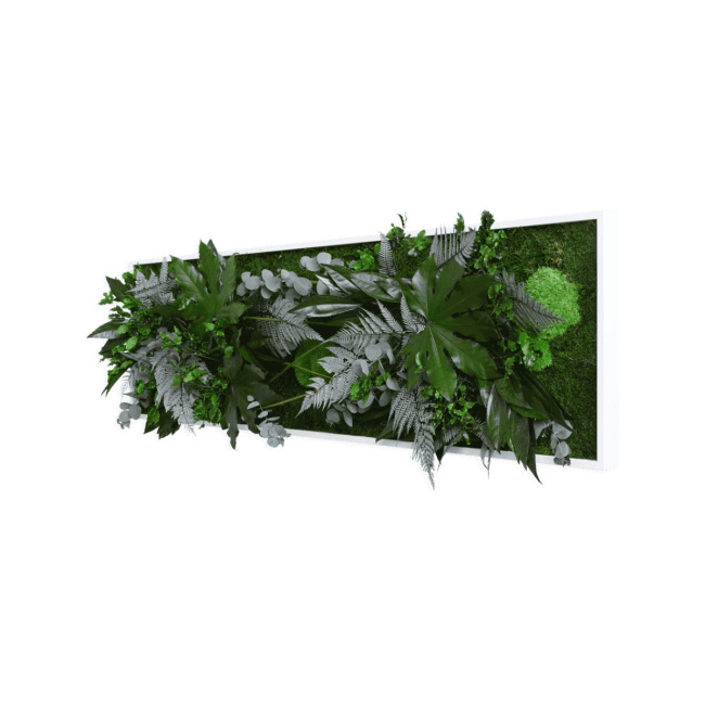 Pflanzenbild Stylegreen