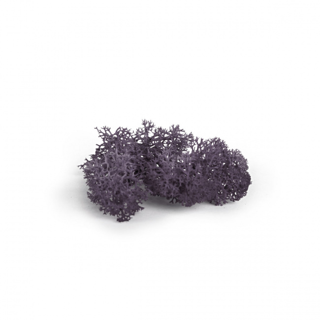Islandmoos Aubergine