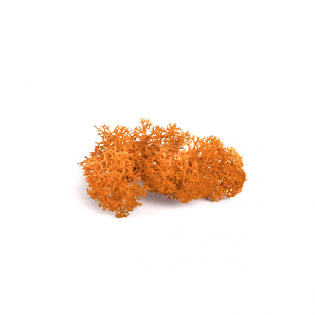 Islandmoos Orange