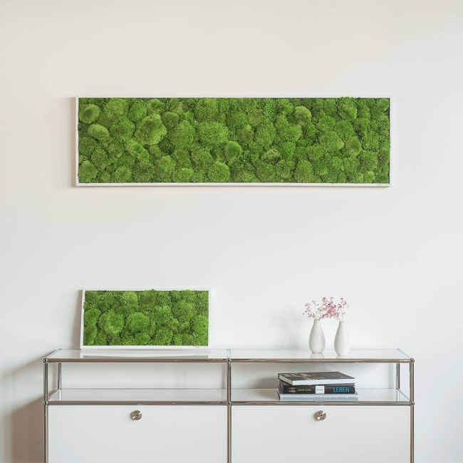 Moosbild 140x40cm