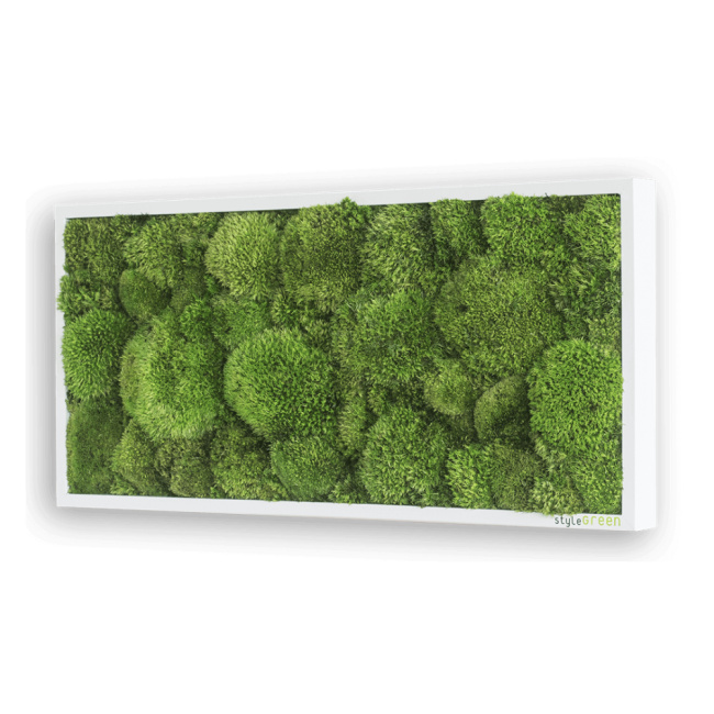Moosbild 57x27cm