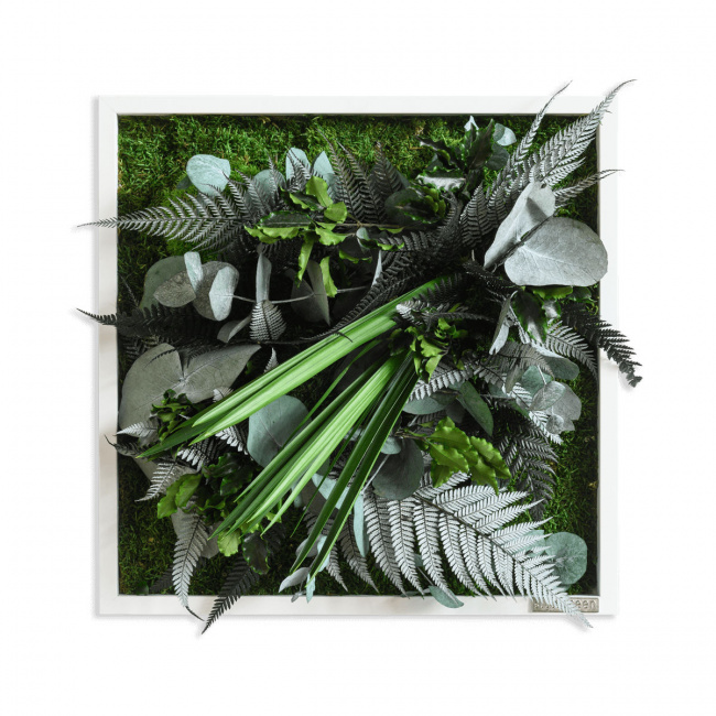 Pflanzenbild Stylegreen