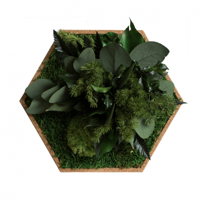 10er Moos-, Kork- & Pflanzen-Hexagon Set