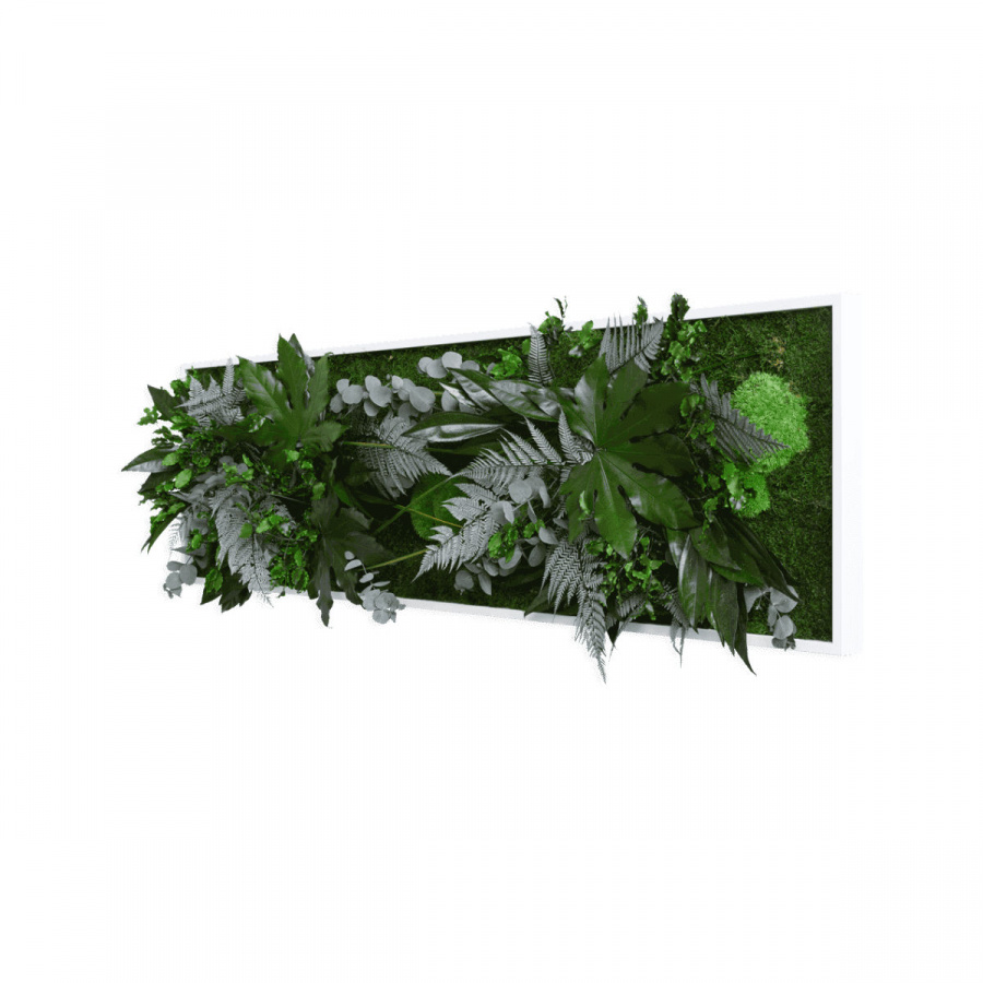 Pflanzenbild Stylegreen