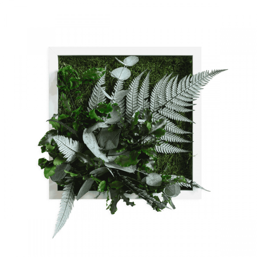 Stylegreen Pflanzenbild 22x22 cm