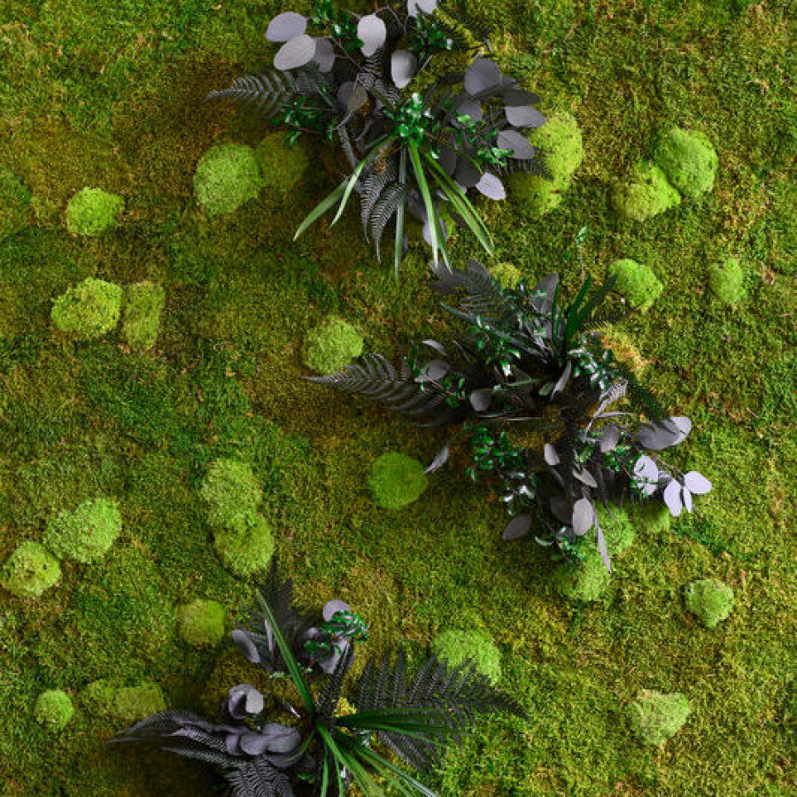 flexGreen Pflanzen-Element flexGreen Pflanzen-Element