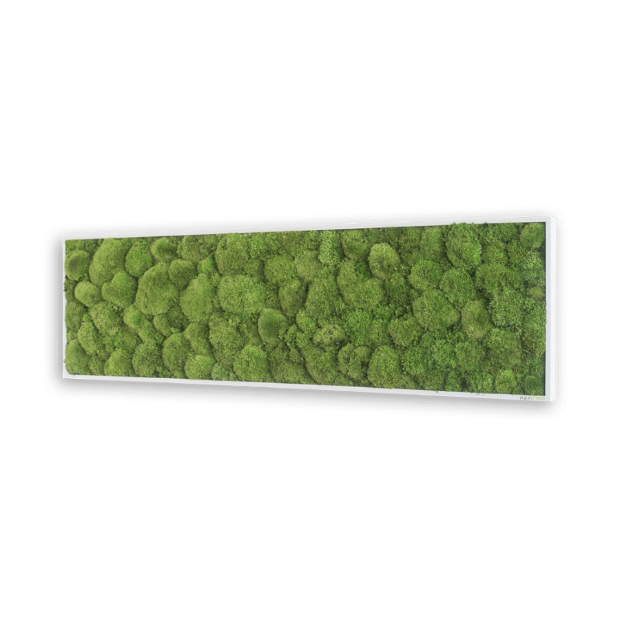 Stylegreen Moosbild Stylegreen Moosbild