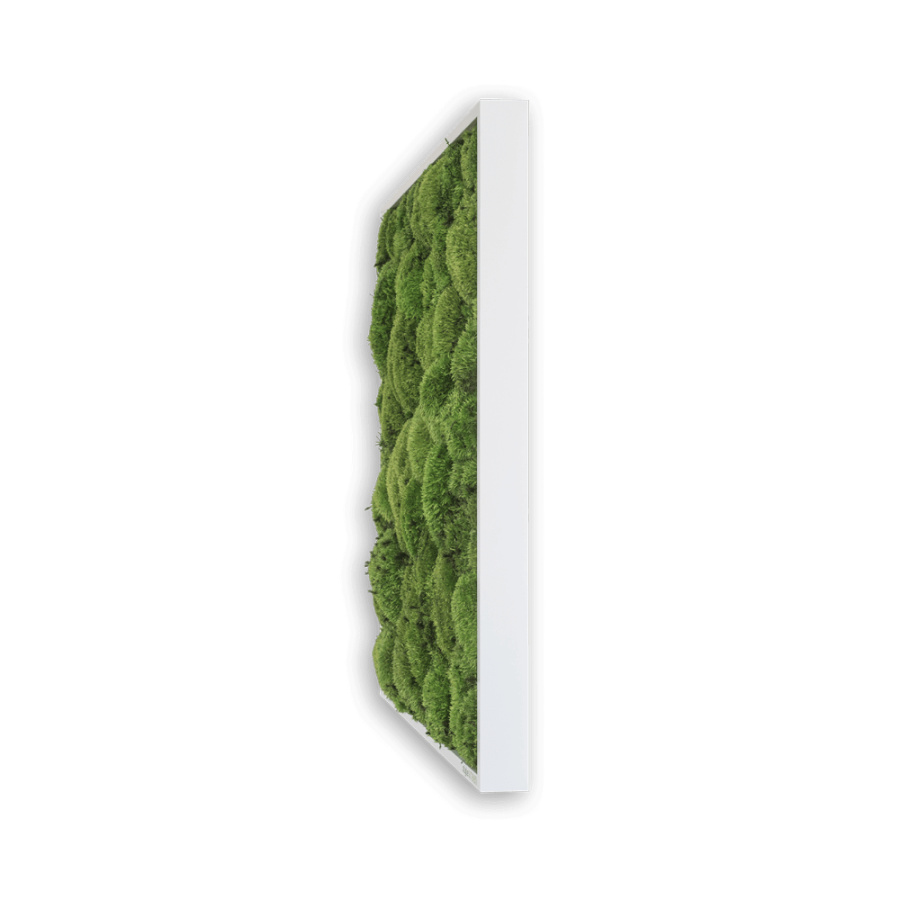 Stylegreen Moosbild