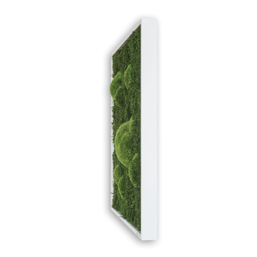 Stylegreen Mossbild