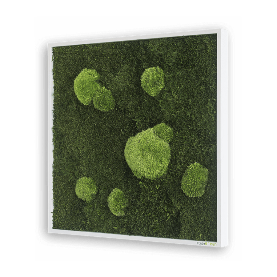 Moosbild 55x55cm Moosbild 55x55cm
