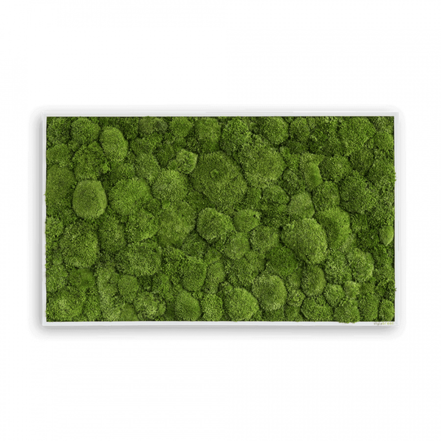 Stylegreen Kugelmoosbild 100x60vm
