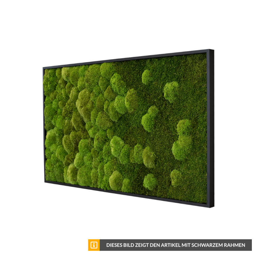 Stylegreen Moosbild mit Verlauf Stylegreen Moosbild mit Verlauf
