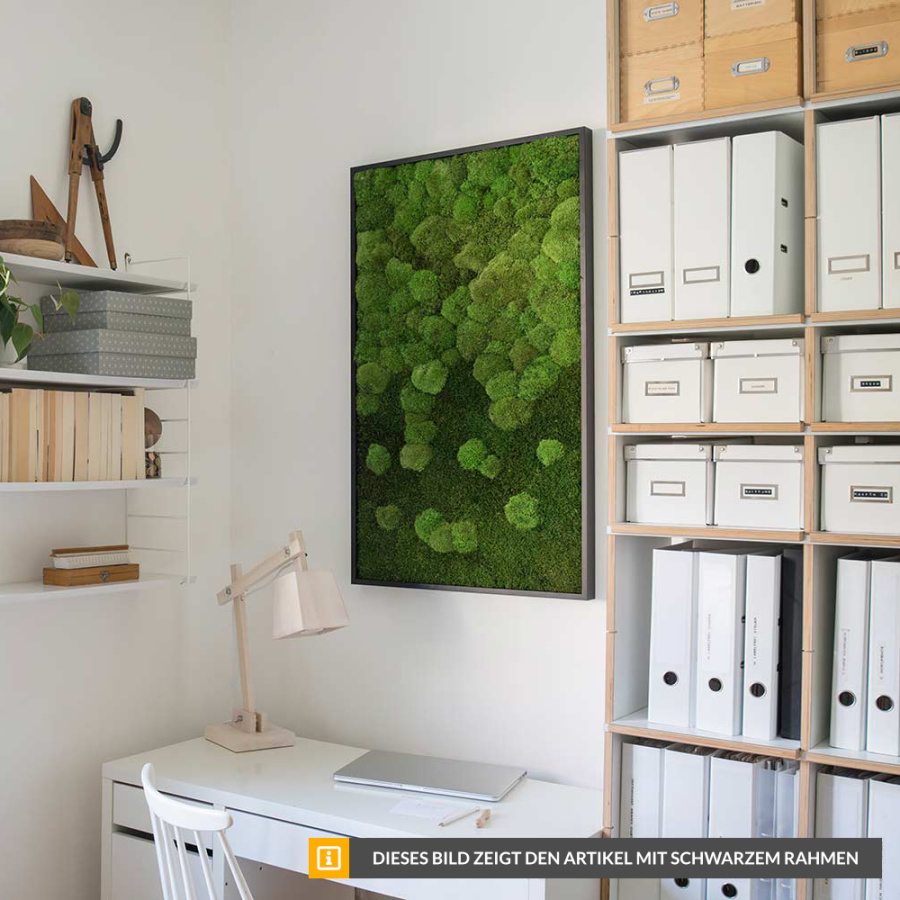 Moosbild Verlauf Wald- und Kugelmoos 100x60cm Moosbild Verlauf Wald- und Kugelmoos 100x60cm
