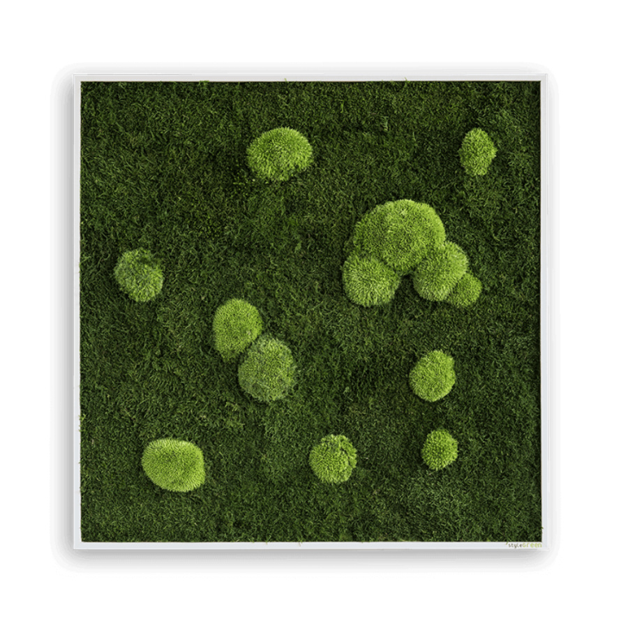 Stylegreen Moosbild 80x80cm Stylegreen Moosbild 80x80cm