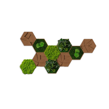 10er Moos-, Kork- & Pflanzen-Hexagon Set