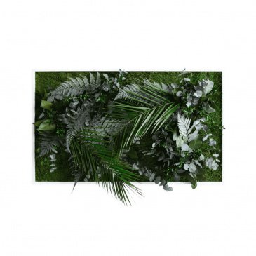 Stylegreen Pflanzenbild