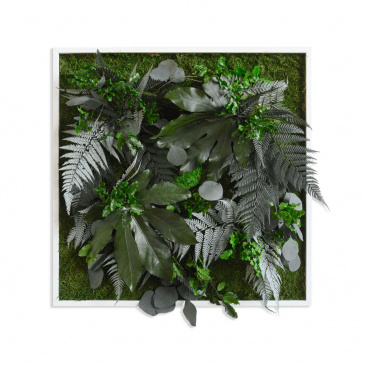 Pflanzenbild Pflanzeninseln 55x55cm 