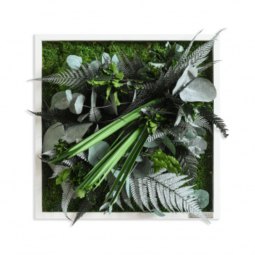 Natürliche Pflanzen Pflanzenbild 35x35 cm 