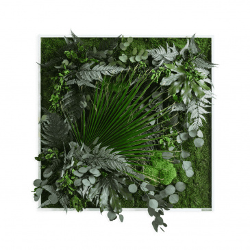 Pflanzenbild mit echten Pflanzen 80x80 cm 